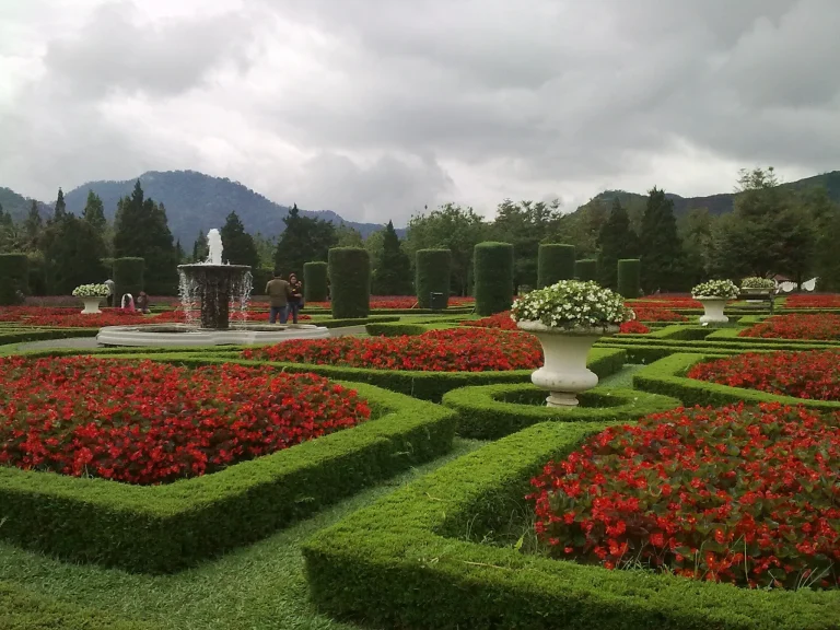 e631e05c5d7d73f6c60879c59d8cd084